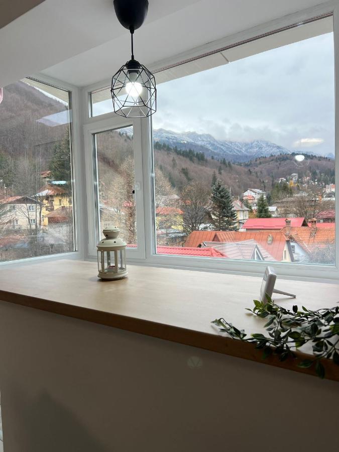 Mountain View Apartment Sinaia Exterior photo